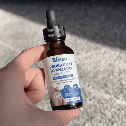 Blisso Probiótico Avanzado para Gatos