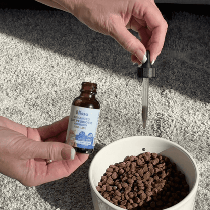 Blisso Probiótico Avanzado para Gatos